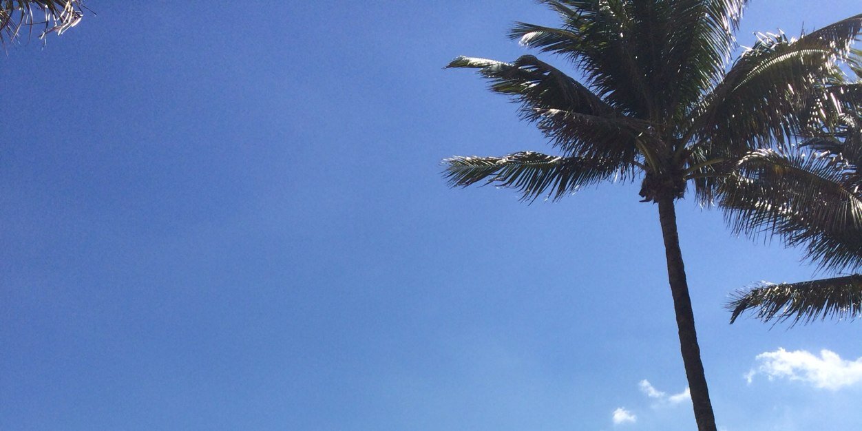 CWLFielden's profile banner image