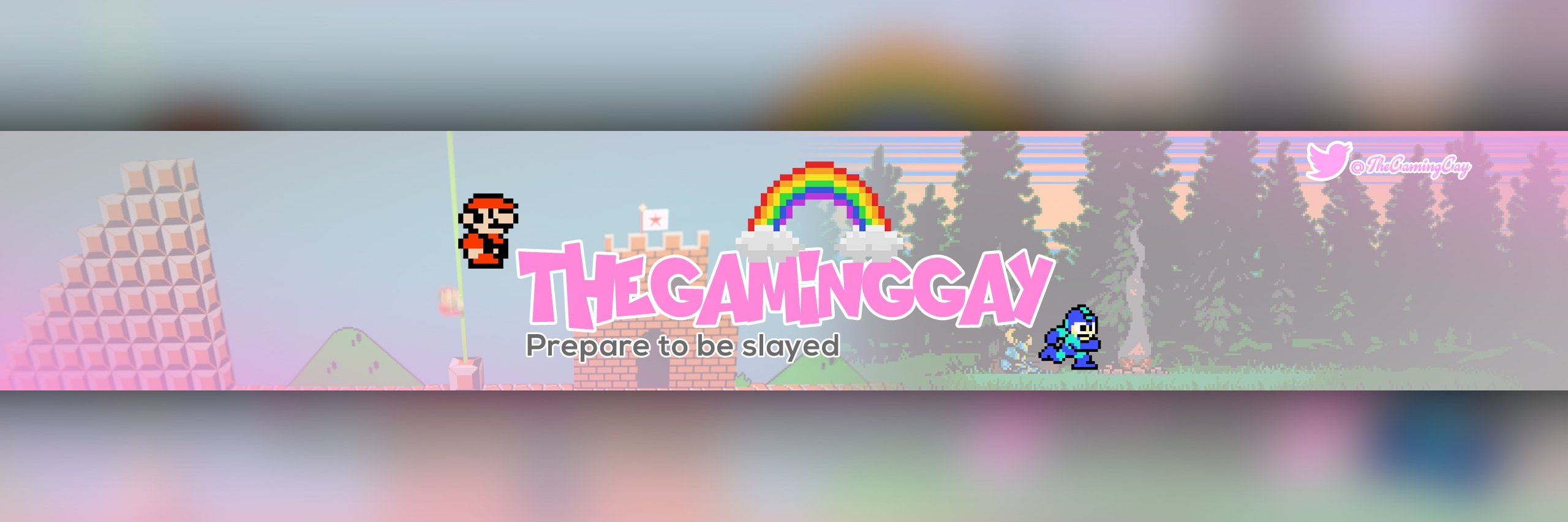 TheGamingGay's profile banner image