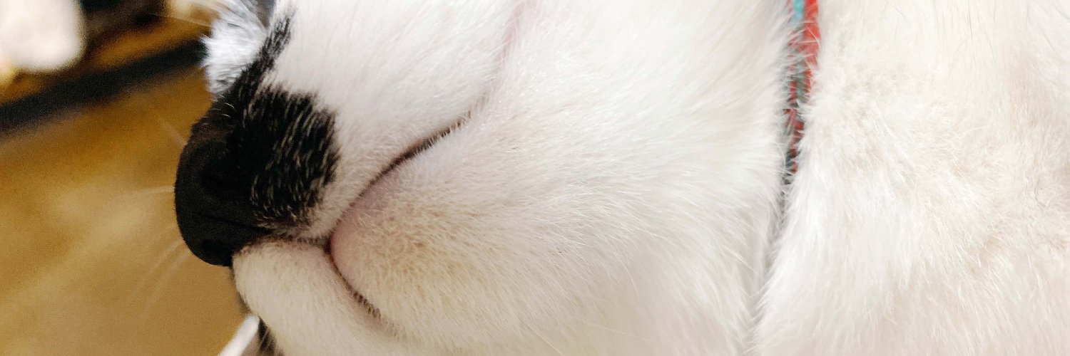 37_ena's profile banner image