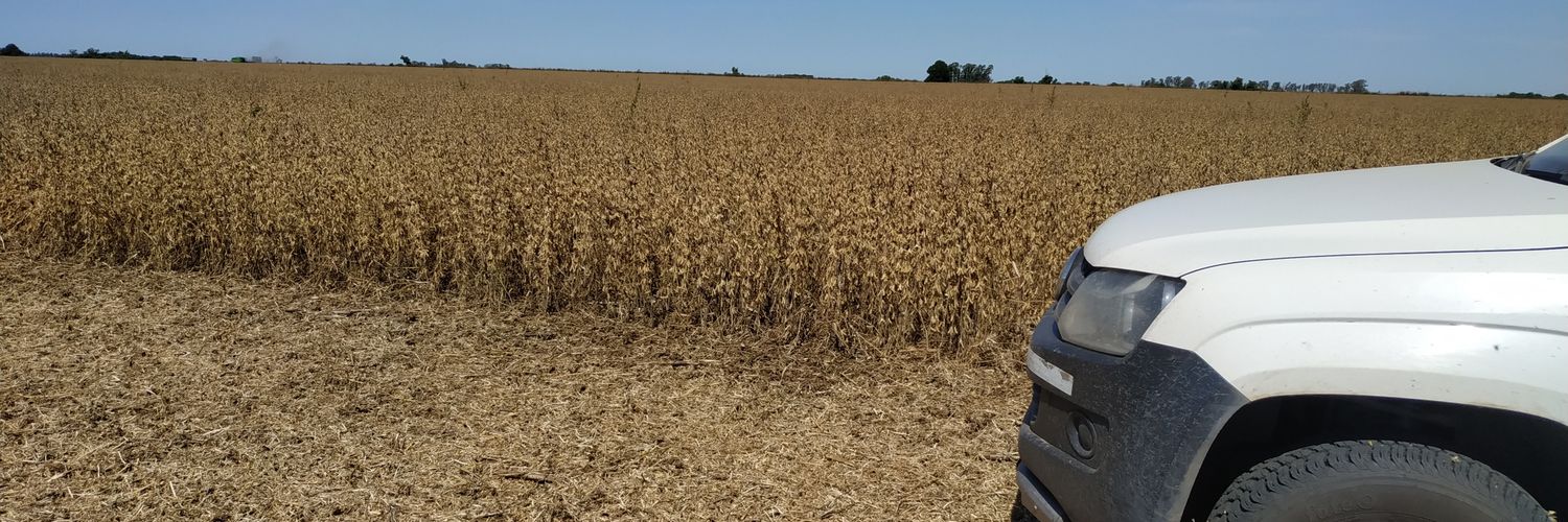 German Schachner banner