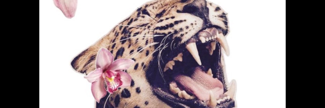 RB2x_'s profile banner image