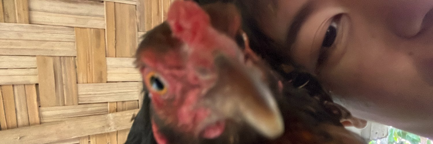 jarmsdc's profile banner image