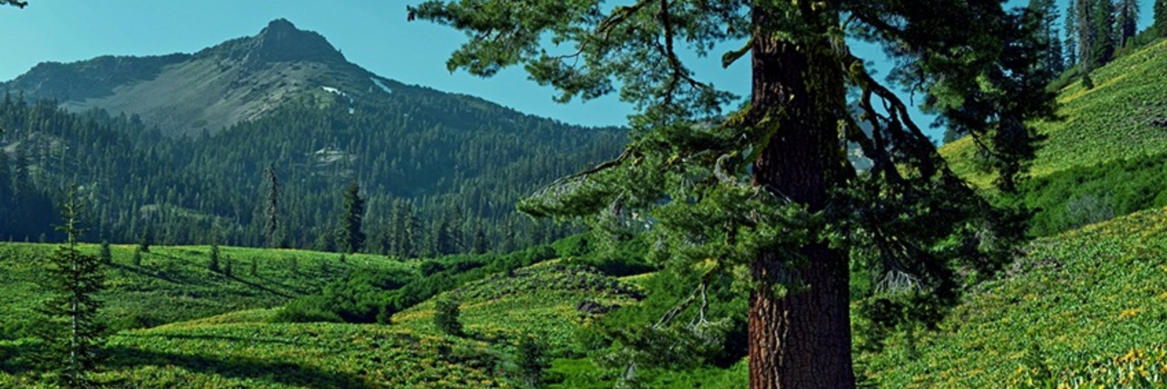 KenKniepmann's profile banner image