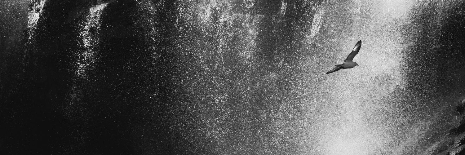 Prov18_17's profile banner image