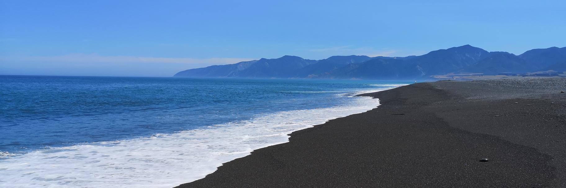 Jenni Wiggle BEM banner