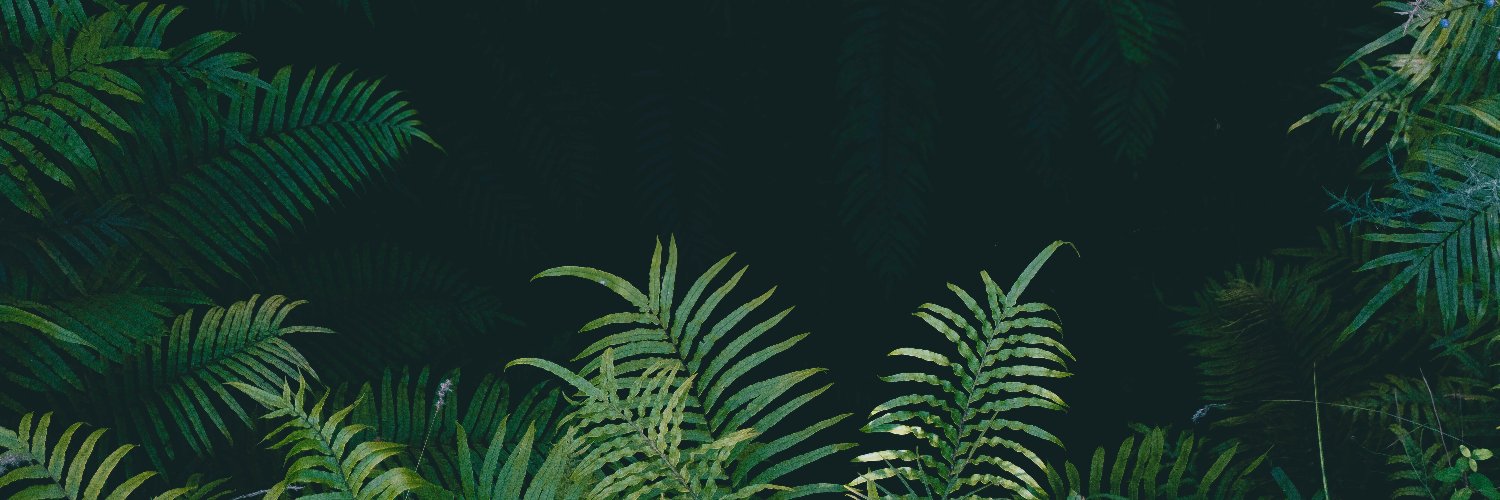 gorillaki_'s profile banner image