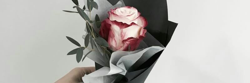 uteee25's profile banner image