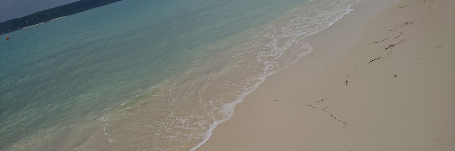 seashell39yocco's profile banner image