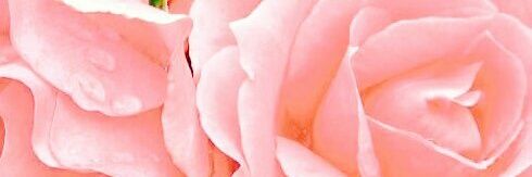EllaBobb's profile banner image