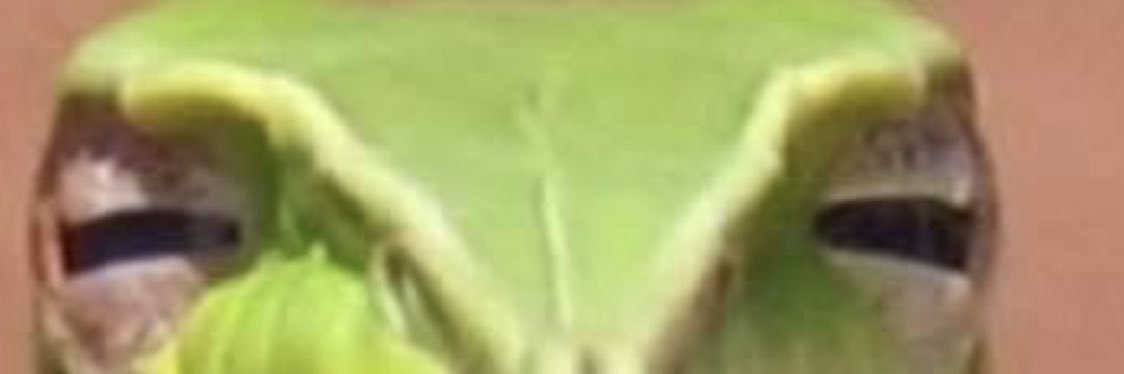 BBellflower's profile banner image
