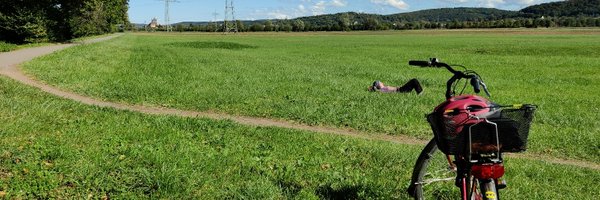 naureenmahmood Profile Banner