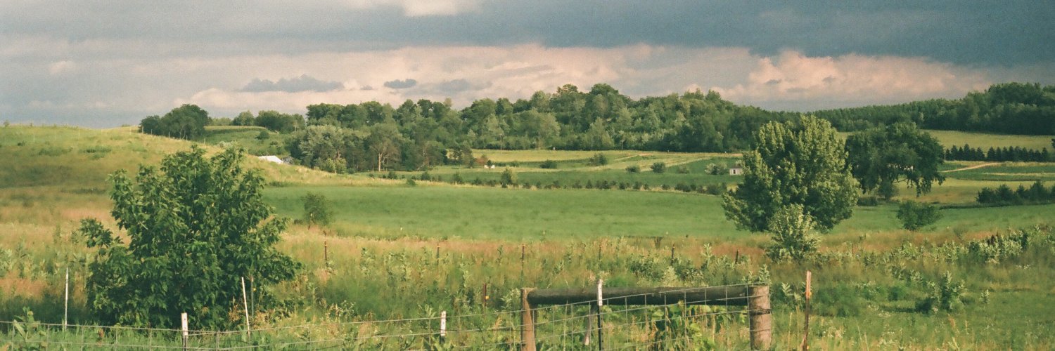 Maayanster's profile banner image