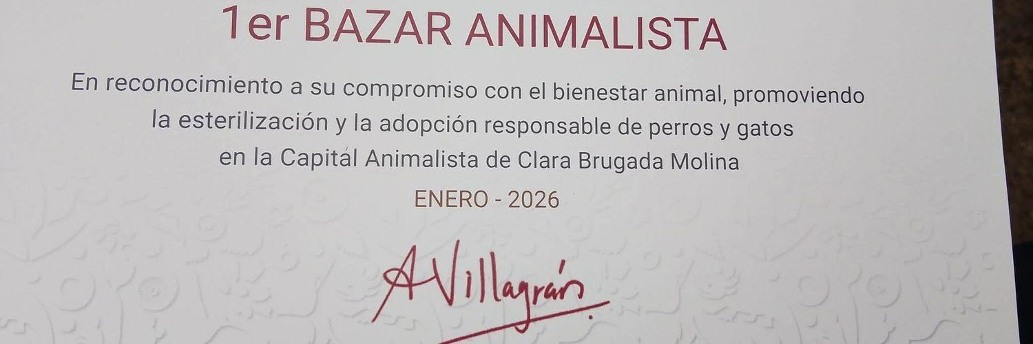 bazar del oro Oficial banner