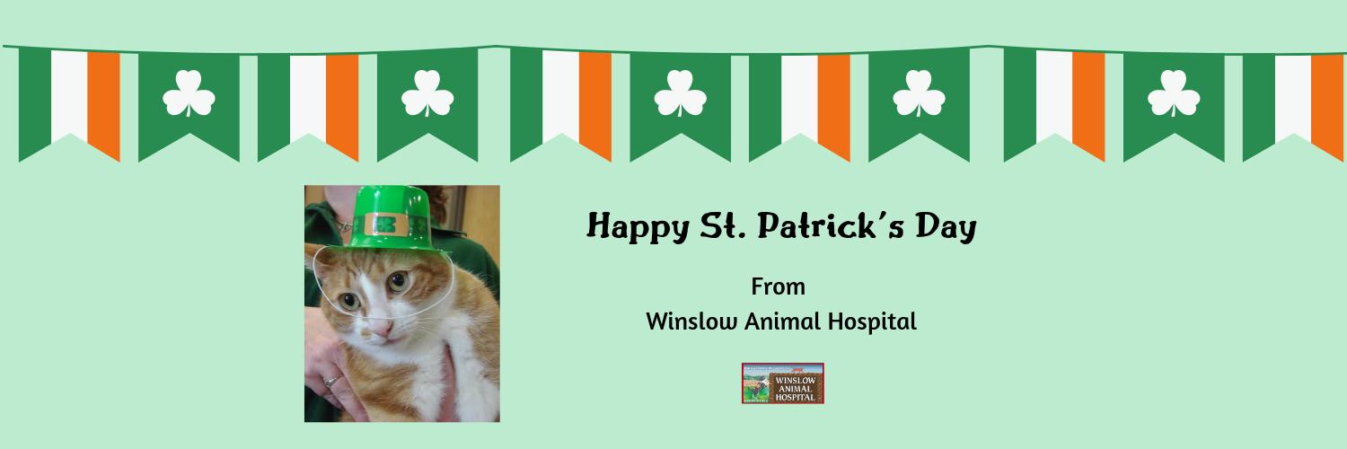 WinslowVets's profile banner image