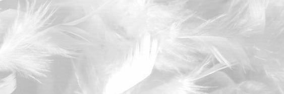 h_9a3's profile banner image
