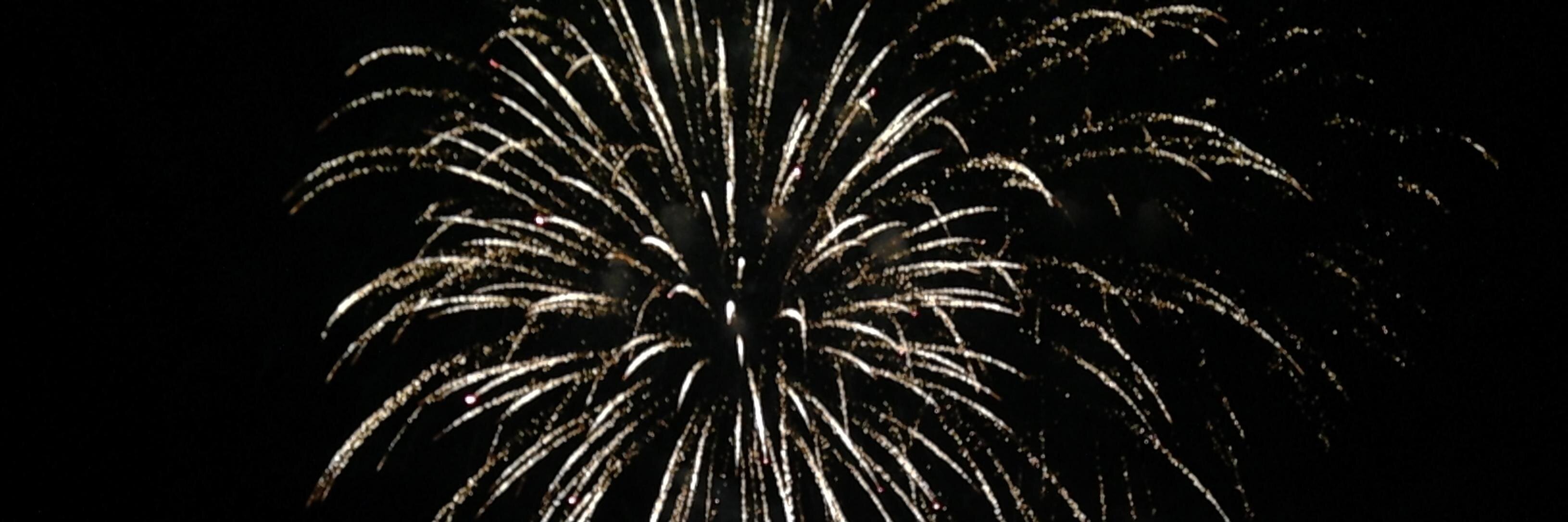 lexieblaney's profile banner image