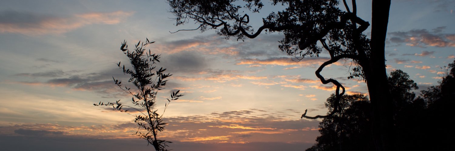 prangtl's profile banner image