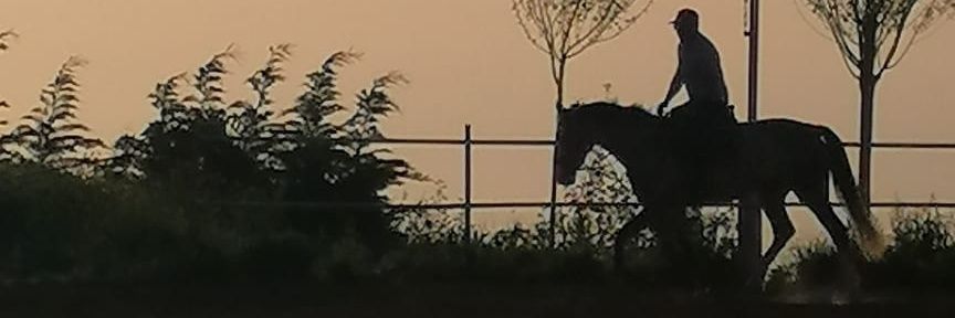 GilbertRizk's profile banner image