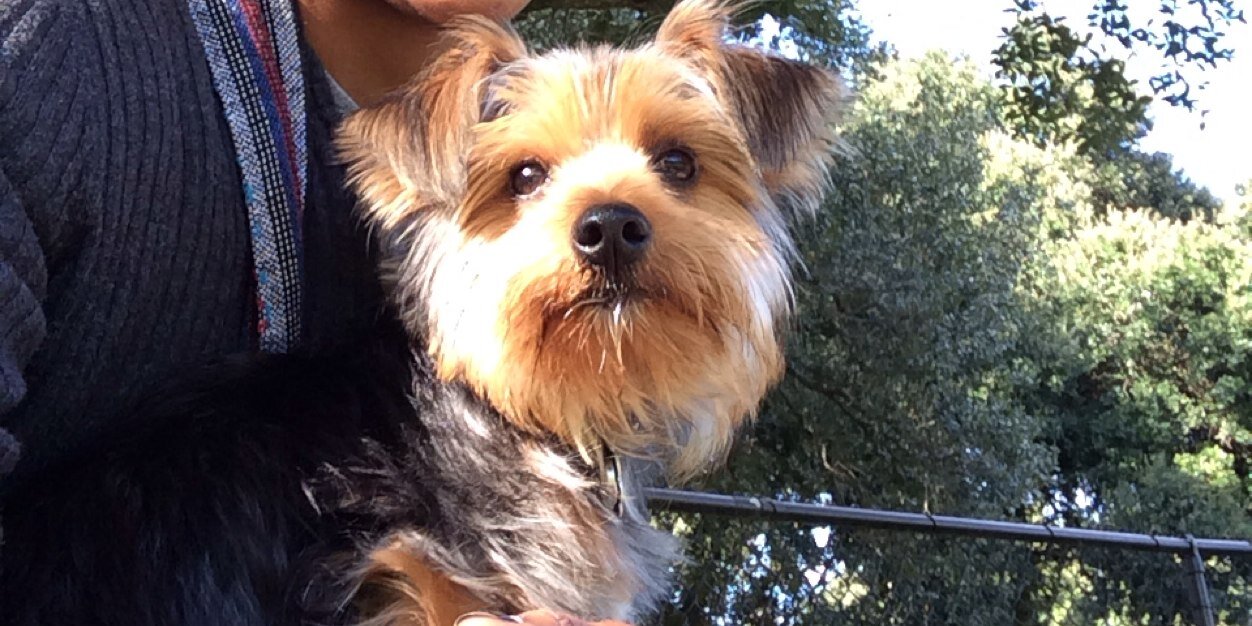 Lasondra Barrett banner