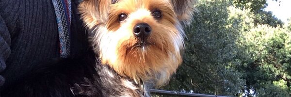 CoachLBarrett Profile Banner