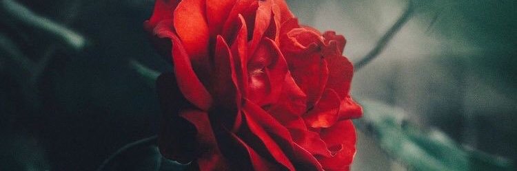 dody1407's profile banner image