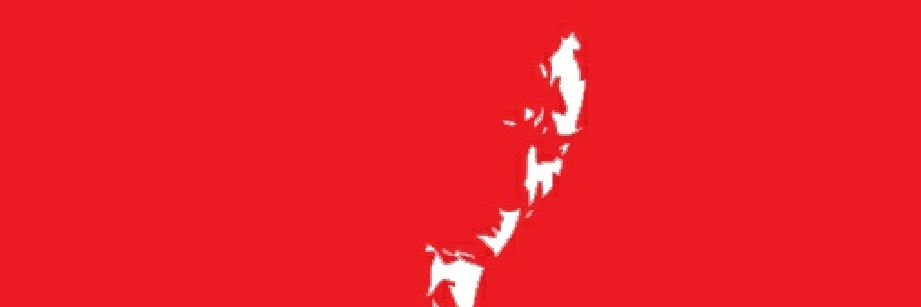 C_H_N's profile banner image