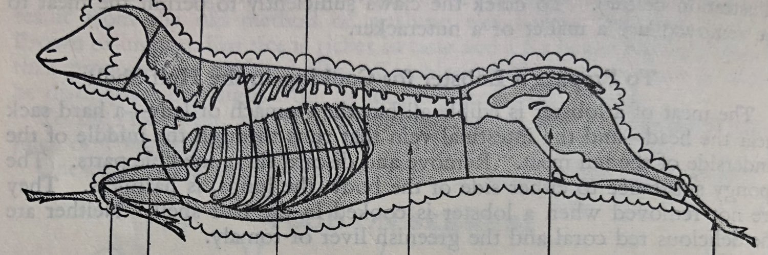 Benjamin King banner