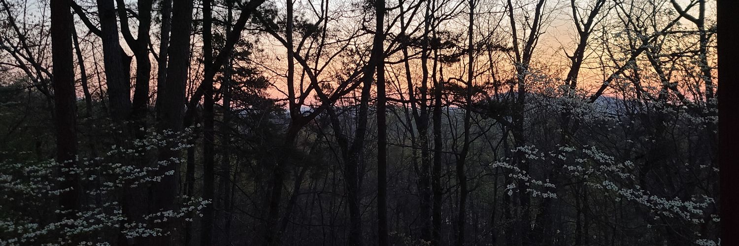 Stormy1971's profile banner image
