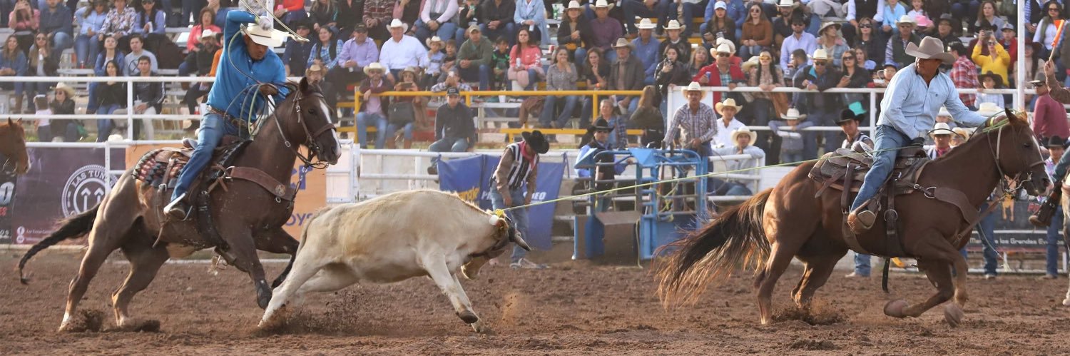 Javier Quintana banner