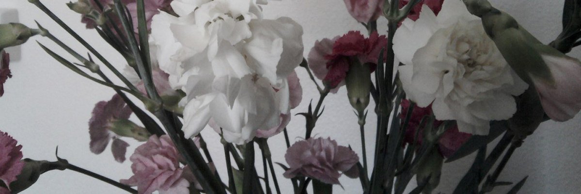 who banner