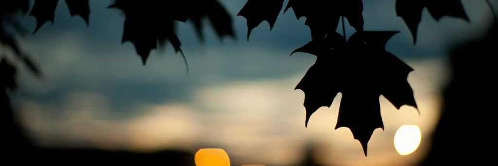 german_1197's profile banner image