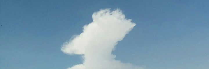 JamVeg's profile banner image