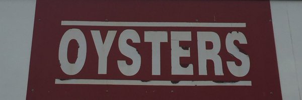 MartinBosleys Profile Banner