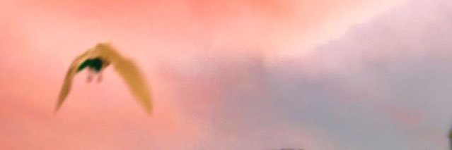 Swimmy6002's profile banner image