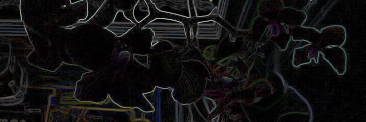 CCrustev's profile banner image