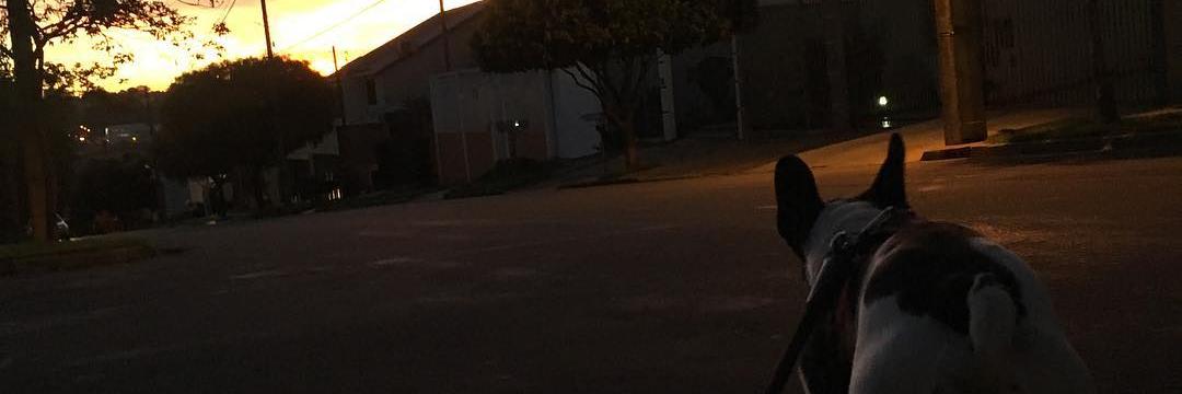 guilhermeyo's profile banner image