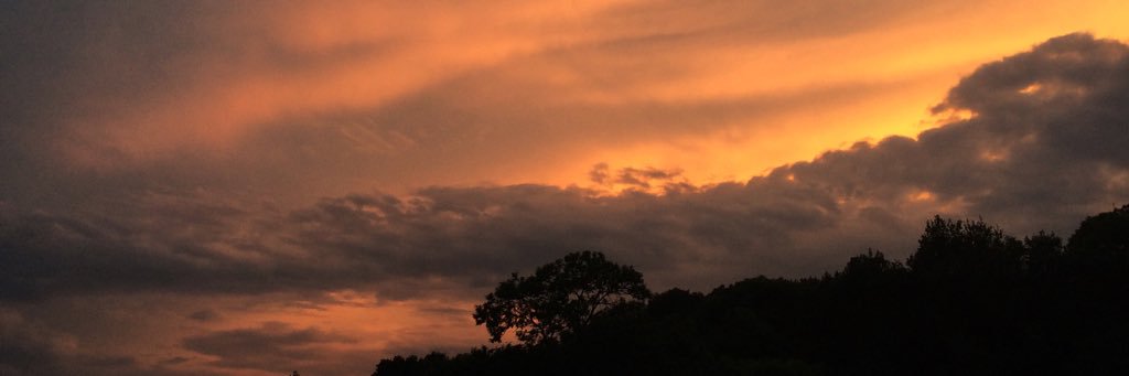EmilyFrere's profile banner image