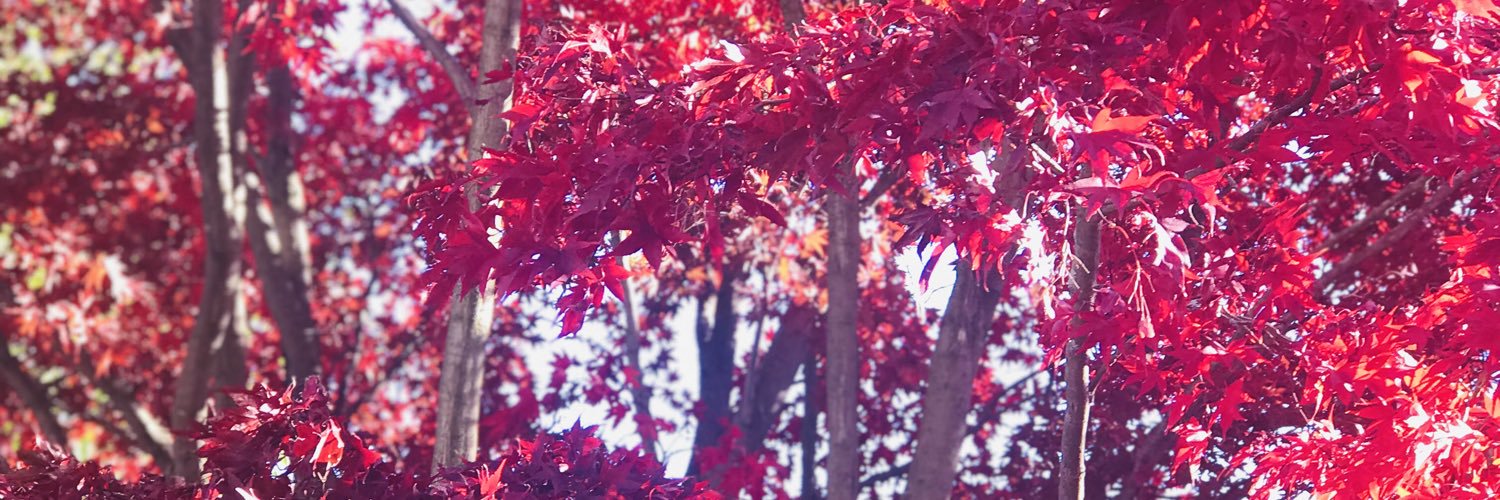 marisarok's profile banner image