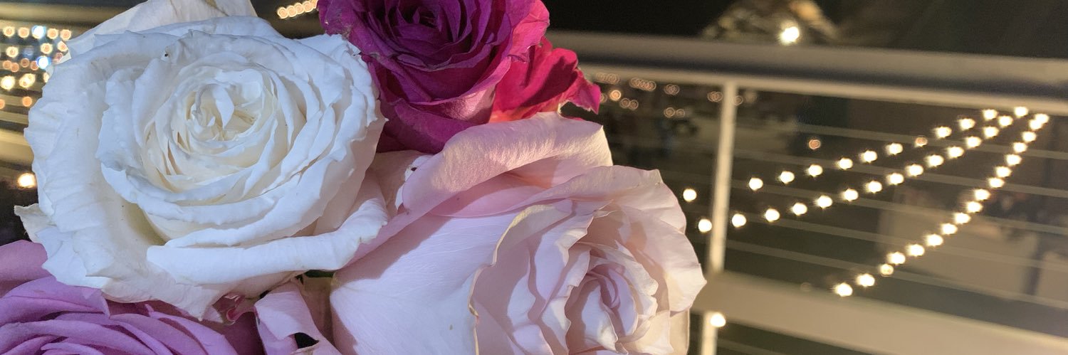 _CarolinaGEM_'s profile banner image