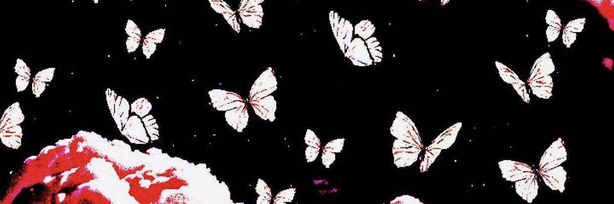 sillehannah's profile banner image