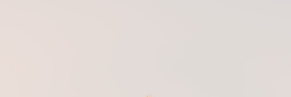 aicragxilef's profile banner image