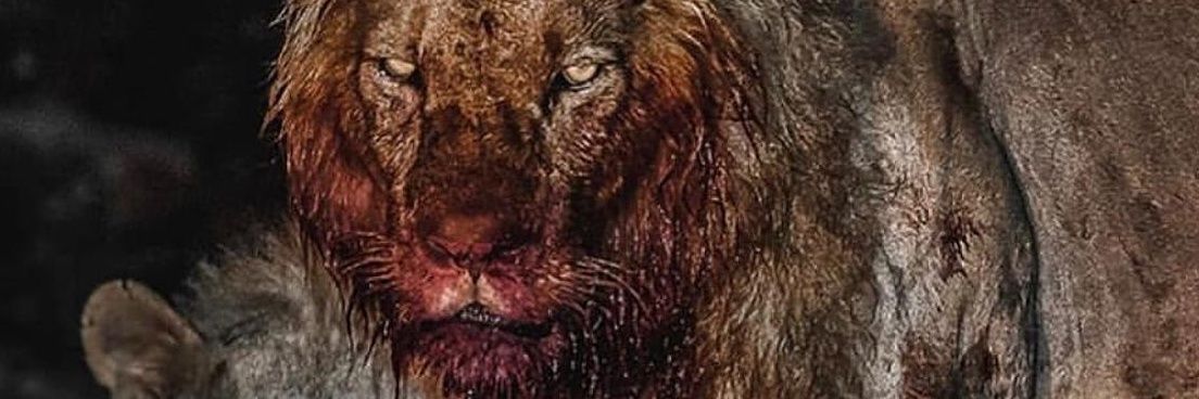 Spookeynotion's profile banner image