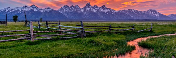 307First Profile Banner