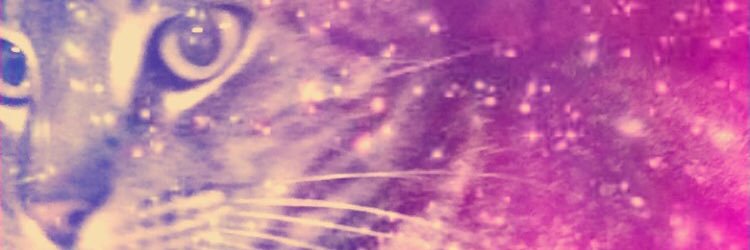Katelynnnn1017's profile banner image