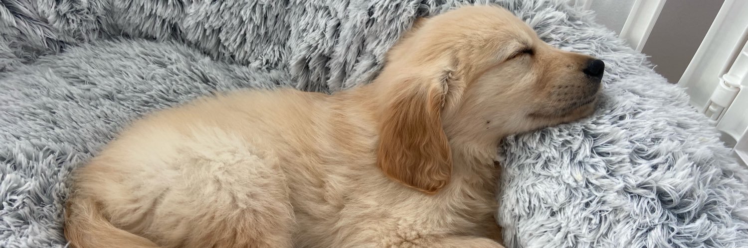 Doglover60's profile banner image