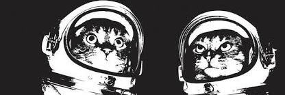 tonnbraga's profile banner image