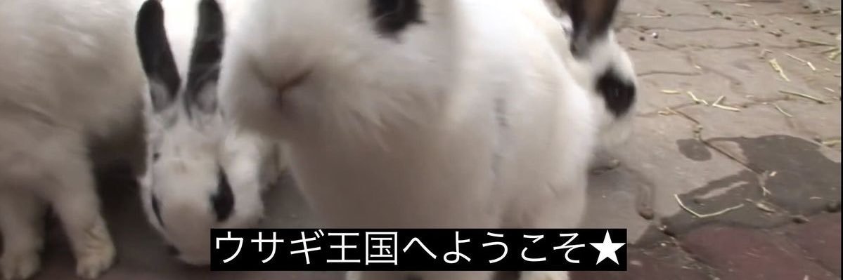 sweetsidel's profile banner image