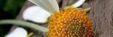 cihan__gok's profile banner image