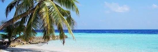 Flaviaventosole's profile banner image