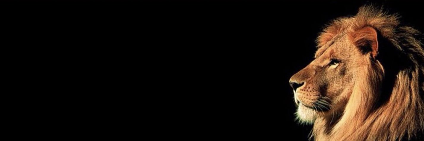 NwairAlS's profile banner image